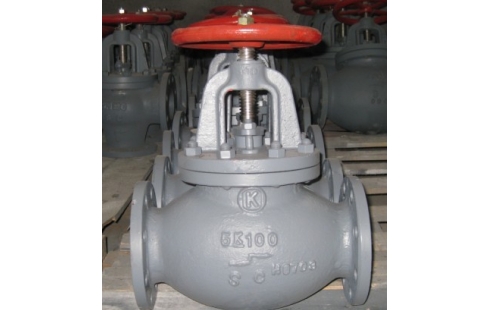 Globe check valve